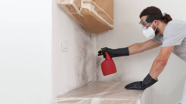 Professional Mold Remediation technician working in Marshall, IL