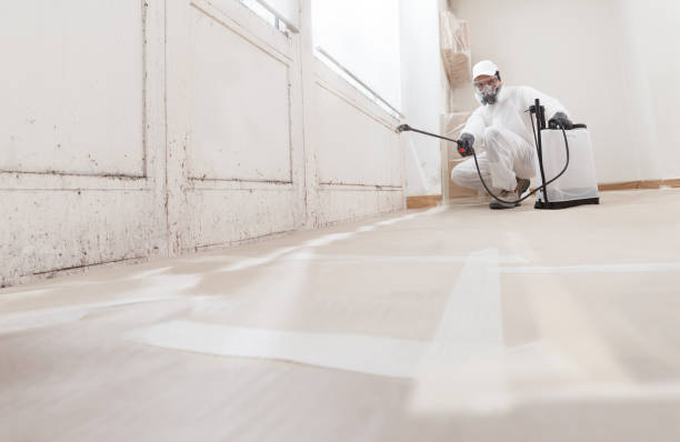 24/7 Emergency Mold Remediation experts in Marshall, IL