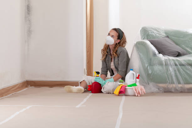 Reliable Mold Remediation contractor in Marshall, IL by WQB Mold Removal